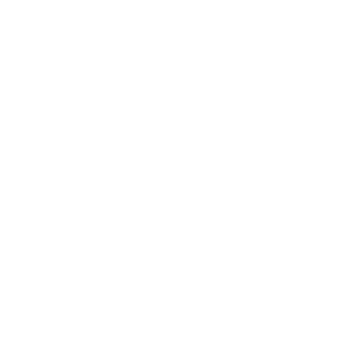 Logo Notion